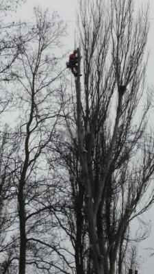 Прикрепленное изображение: photo_2023-02-04_15-18-33.jpg